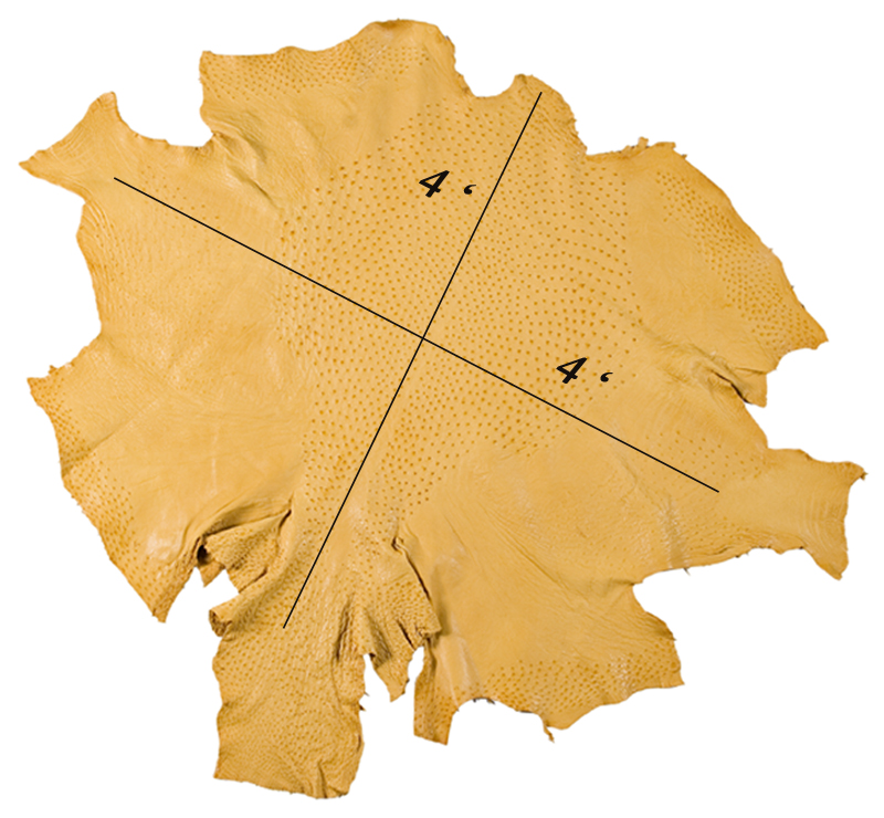 A whole ostrich skin laid flat, showing the raised quill-follicle grain characteristic of exotic leather before tanning into a finished bag